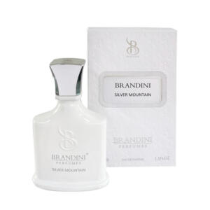 عطر جیبی برندینی مدل Silver Mountain حجم 33 میلی لیتر